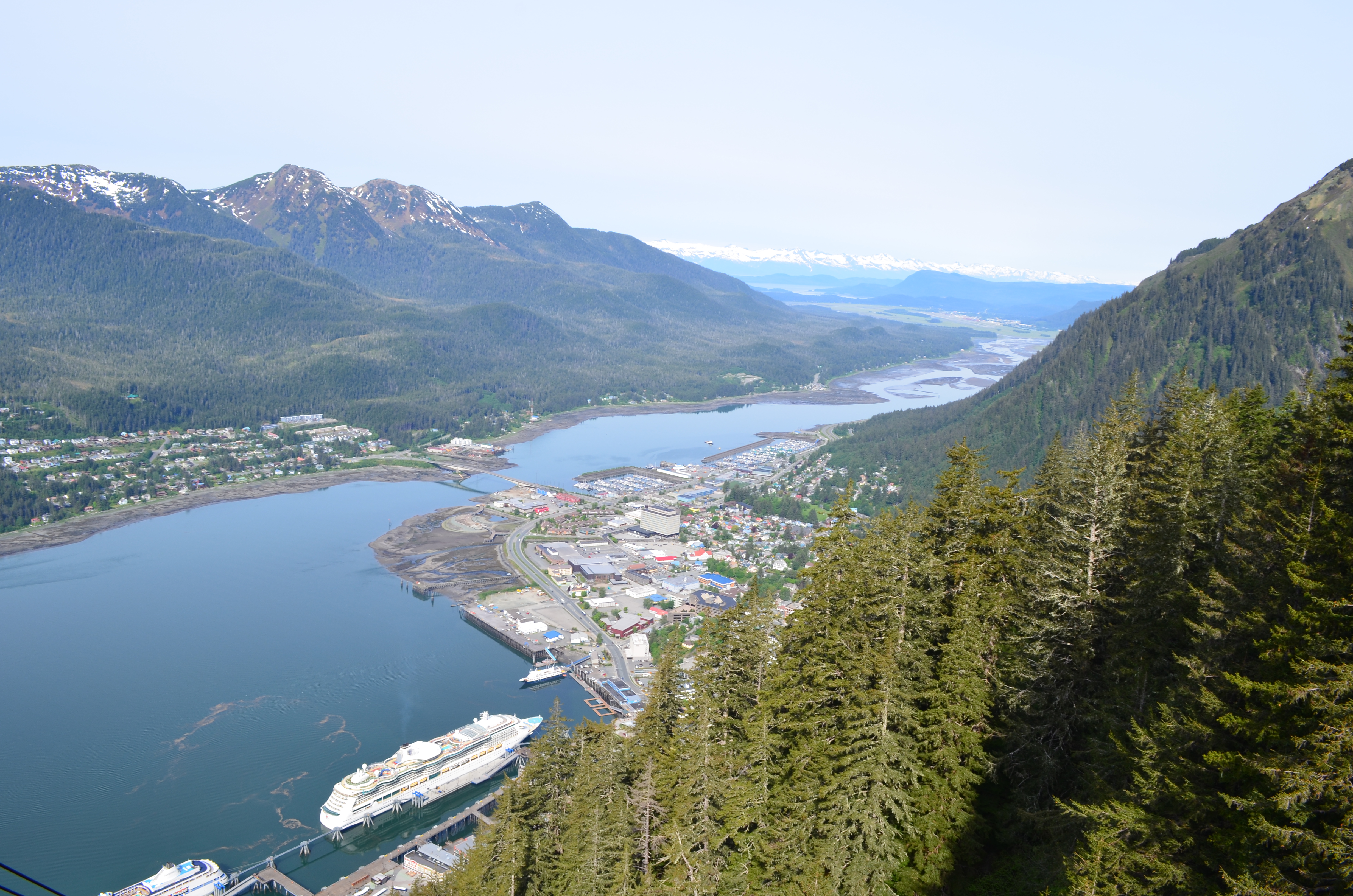 ./2017/08 - Alaska Cruise/08 - Juneau/DSC_0880.JPG
